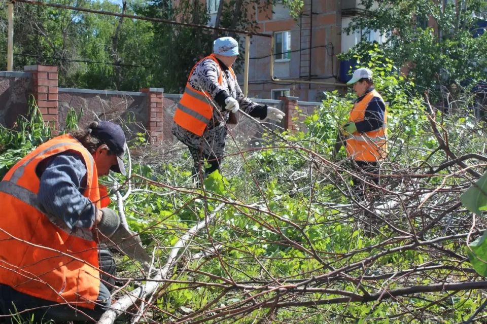 С заботой о городе. Каждый день коммунальные службы Сызрани работают над тем, чтобы город становился уютнее, чище и привлекательнее С заботой о городе. Каждый день коммунальные службы Сызрани работают над тем, чтобы город становился уютнее, чище и привлекательнее