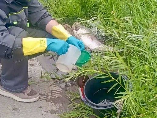 На реке Кутулук взяты пробы воды На реке Кутулук взяты пробы воды
