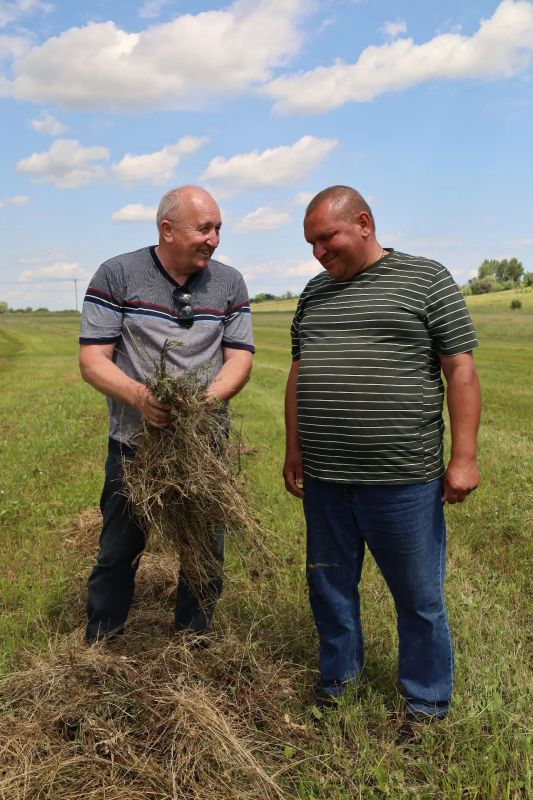 В самом разгаре важное летнее дело для животноводов – заготовка кормов В самом разгаре важное летнее дело для животноводов – заготовка кормов
