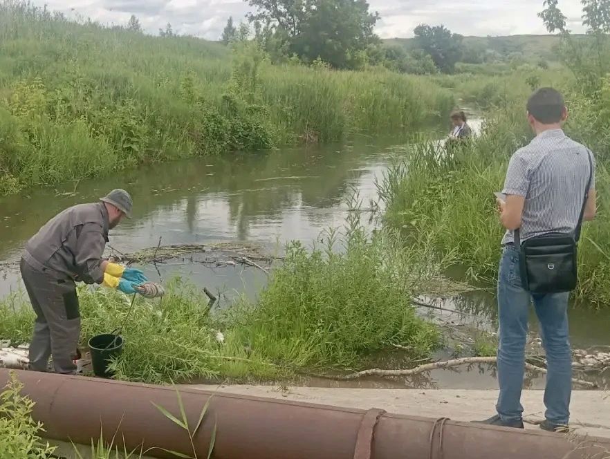 На реке Кутулук взяты пробы воды