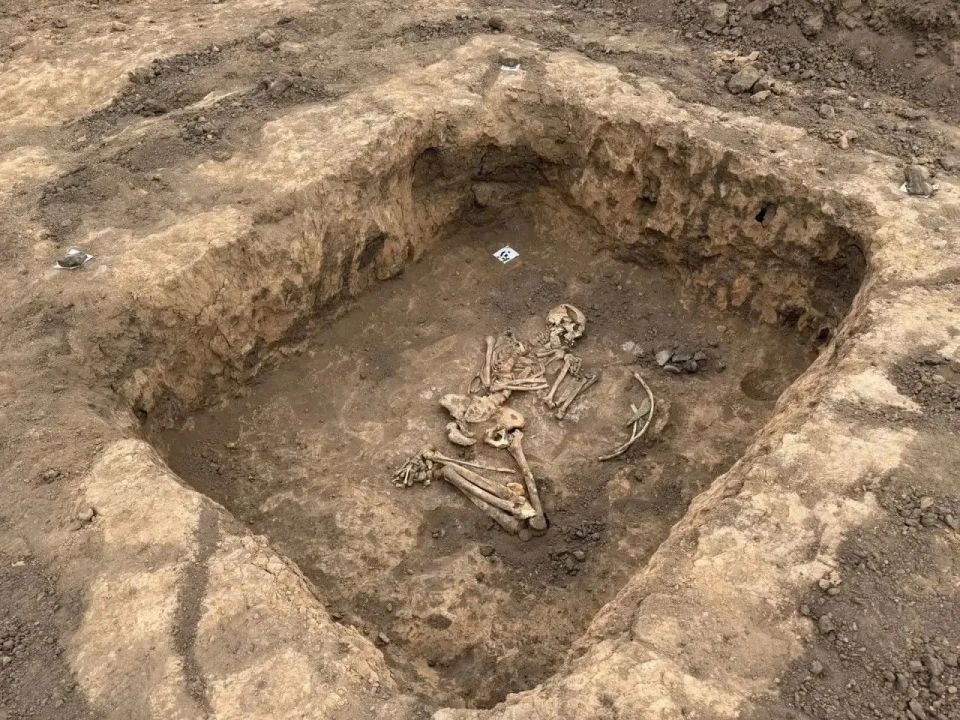 При раскопках под Самарой нашли захоронения бронзового века При раскопках под Самарой нашли захоронения бронзового века