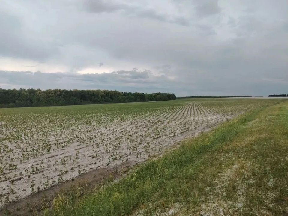 В Самарской области заметили настоящие сугробы из града! В Самарской области заметили настоящие сугробы из града!