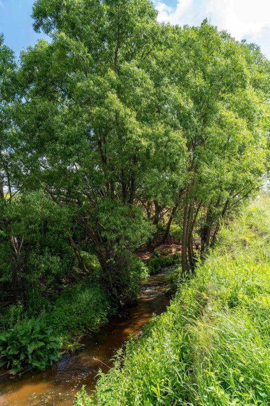 Токмаклинский водопад в Челно-Вершинском районе Токмаклинский водопад в Челно-Вершинском районе