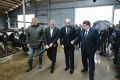 Губернатор Вячеслав Федорищев провел встречу с предпринимателями из районов