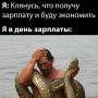 ������� ������ ������� ���������