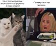 Как говорить о проблемах так, чтобы вас услышали?