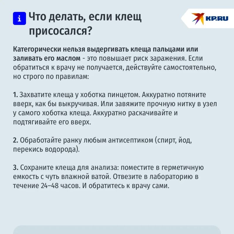 Клещи покусали почти 3 000 жителей Самарской области
