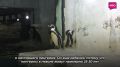 � ��������� ����������� ������� �������� � 2 ���� ����� ����� ������� ������ ������ �������������� �������� ����������