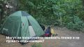 � ������ ����� ������� ��������� �������� ������� � ������ �����, �������� ��� ���������� ������