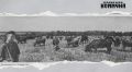 1 июля 1960 года в газете «Волжская коммуна» писали: