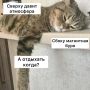 Самая мощная магнитная буря с марта обрушится на головы самарцев