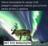 Северное сияние могут увидеть самарцы этой ночью!
