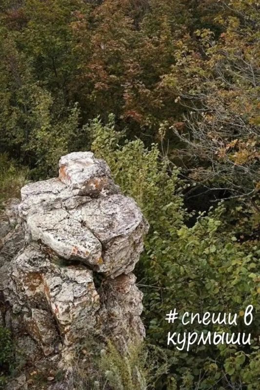 Побудьте на высоте!. Предлагаем покорить одну из самых высоких скалистых вершин Жигулей — гору Стрельную Побудьте на высоте!. Предлагаем покорить одну из самых высоких скалистых вершин Жигулей — гору Стрельную