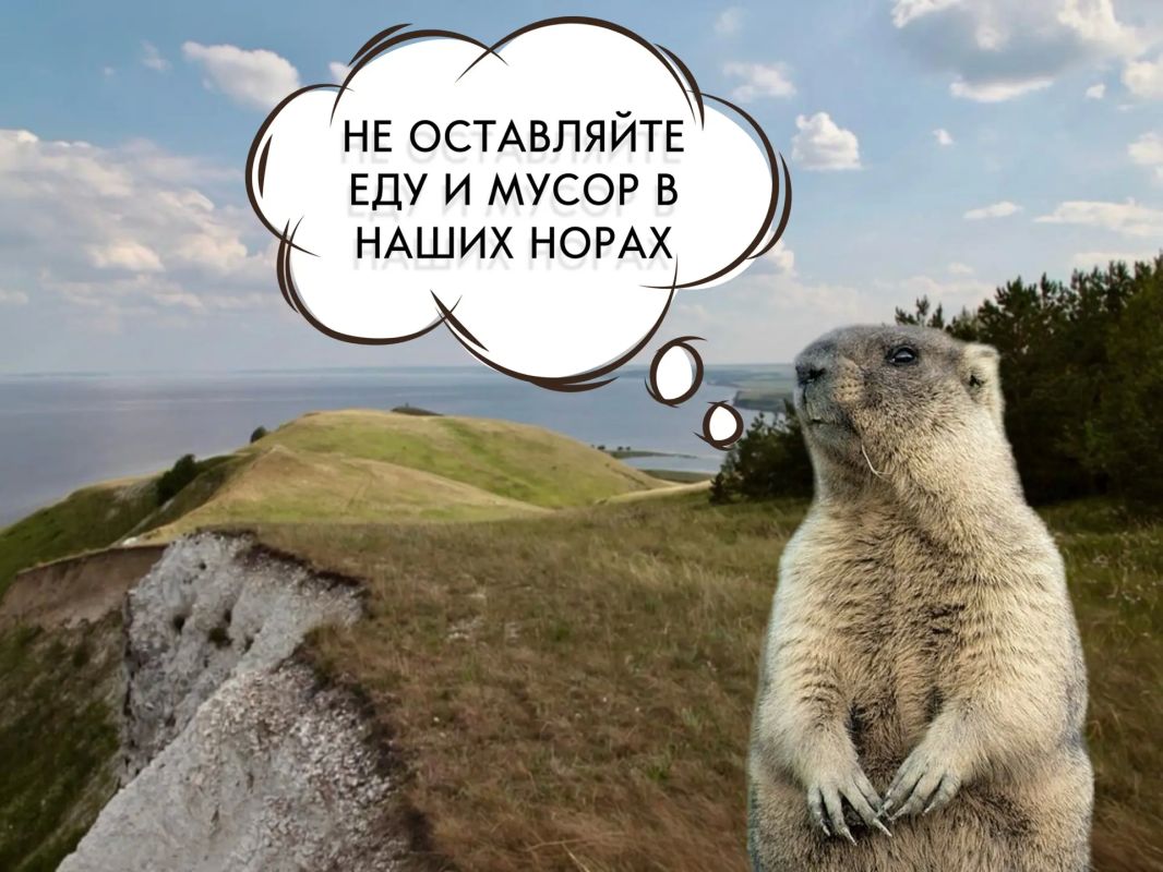 Внимание жителей верхнего мира!