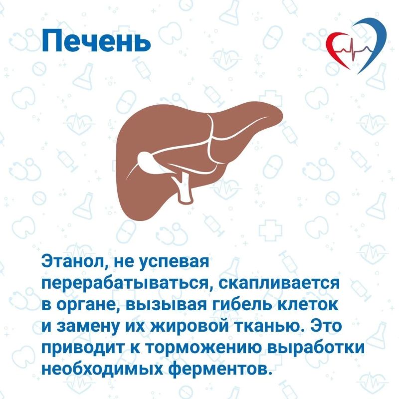 Вред алкоголя обусловлен его отравляющим влиянием на все жизненно важные органы подростка Вред алкоголя обусловлен его отравляющим влиянием на все жизненно важные органы подростка