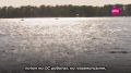 Сегодня свой профессиональный праздник отмечают моряки, речники, судостроители и портовые работники — все те, чья деятельность связана с водным транспортом