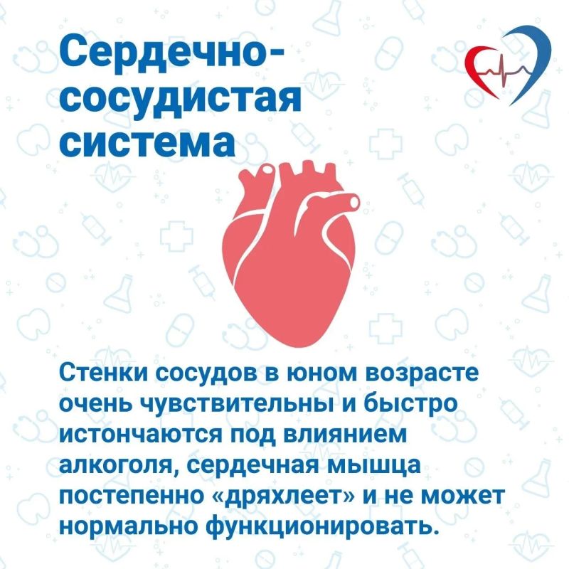 Вред алкоголя обусловлен его отравляющим влиянием на все жизненно важные органы подростка Вред алкоголя обусловлен его отравляющим влиянием на все жизненно важные органы подростка