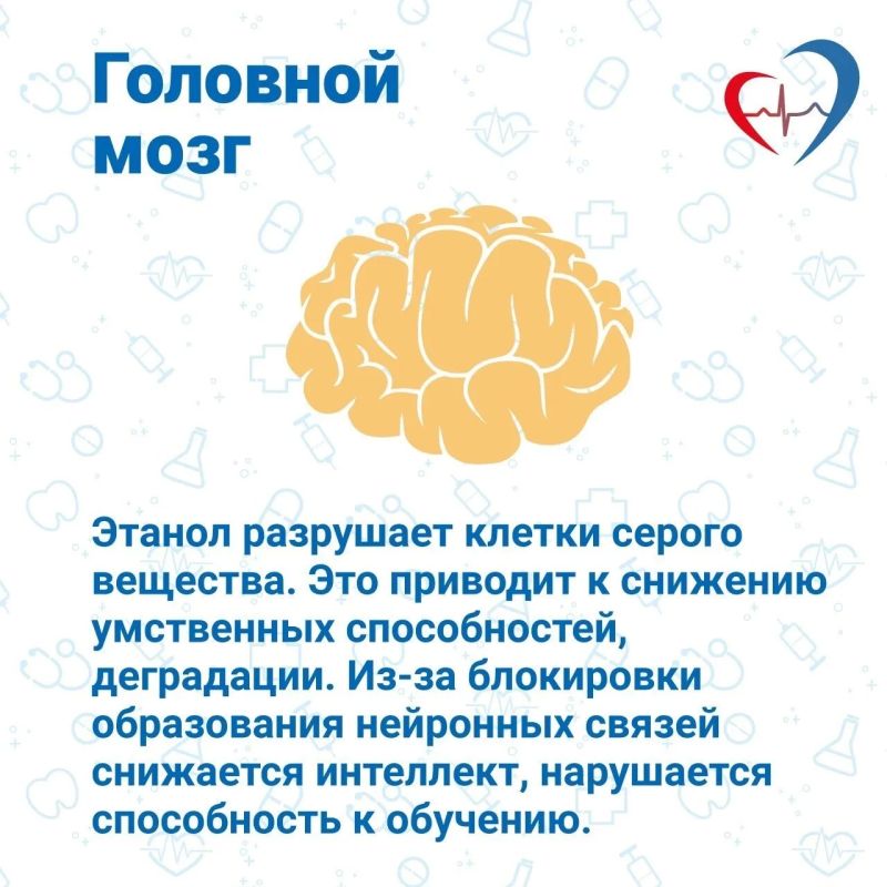 Вред алкоголя обусловлен его отравляющим влиянием на все жизненно важные органы подростка Вред алкоголя обусловлен его отравляющим влиянием на все жизненно важные органы подростка