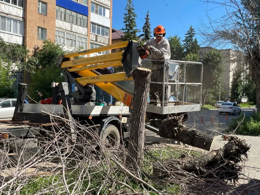 Эти кадры пахнут свежескошенной травой Эти кадры пахнут свежескошенной травой