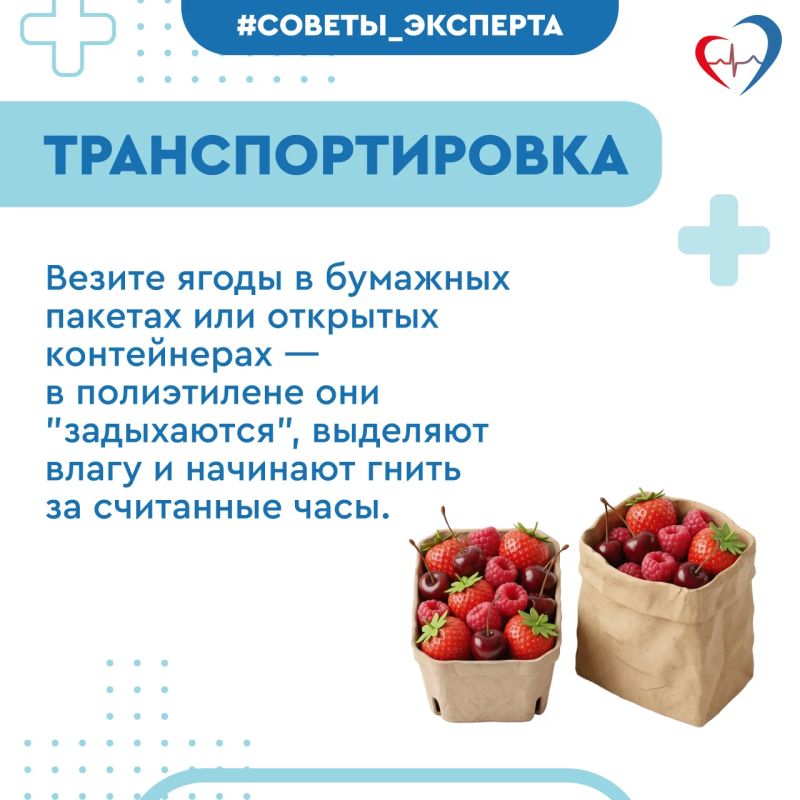 Врач рассказала, как выбрать спелые и безопасные ягоды Врач рассказала, как выбрать спелые и безопасные ягоды