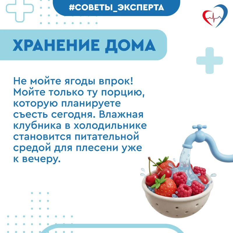 Врач рассказала, как выбрать спелые и безопасные ягоды Врач рассказала, как выбрать спелые и безопасные ягоды