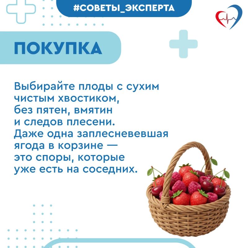 Врач рассказала, как выбрать спелые и безопасные ягоды Врач рассказала, как выбрать спелые и безопасные ягоды