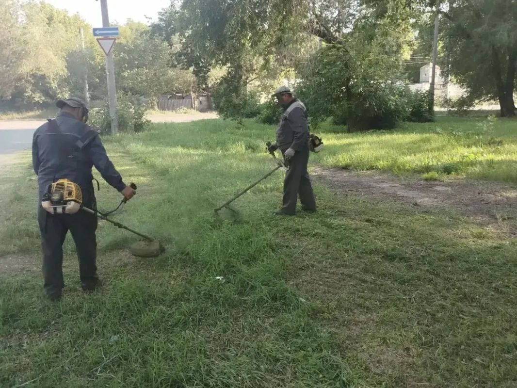Зеленая и цветущая: в Самаре каждый день ухаживают за газонами и цветами Зеленая и цветущая: в Самаре каждый день ухаживают за газонами и цветами