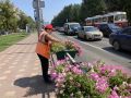 Зеленая и цветущая: в Самаре каждый день ухаживают за газонами и цветами