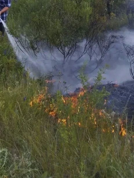 Самарские лесники потушили пожар в Ставропольском лесничестве