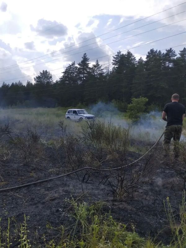 Самарские лесники потушили пожар в Ставропольском лесничестве Самарские лесники потушили пожар в Ставропольском лесничестве