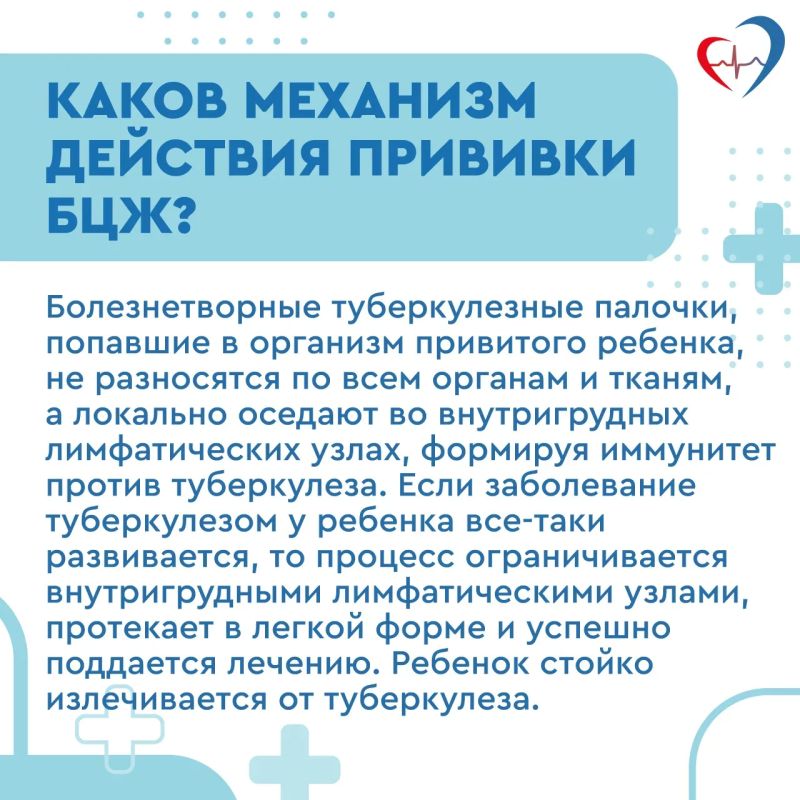 Прививка БЦЖ спасает детей от тяжелых форм туберкулёза Прививка БЦЖ спасает детей от тяжелых форм туберкулёза