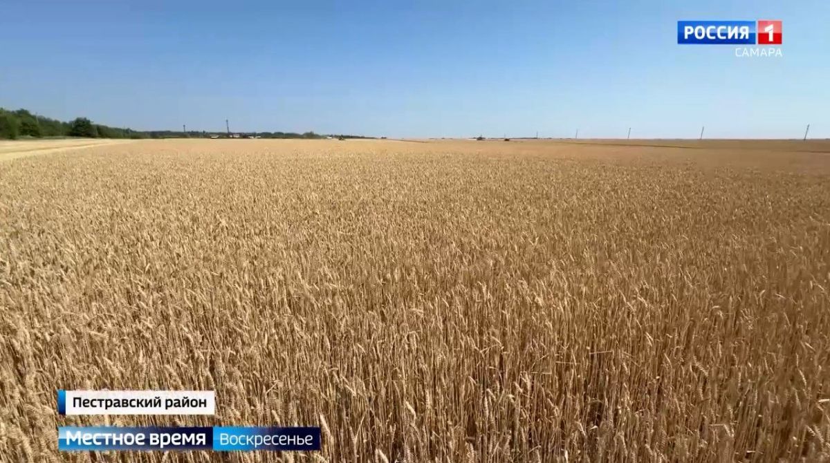 Продолжаем подводить итоги недели
