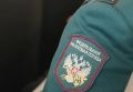 Уведомления о налогах – на «Госуслугах»