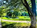 Жара до +33 °C ожидается в Самарской области в ближайшие три дня (21, 22 и 23 июля)
