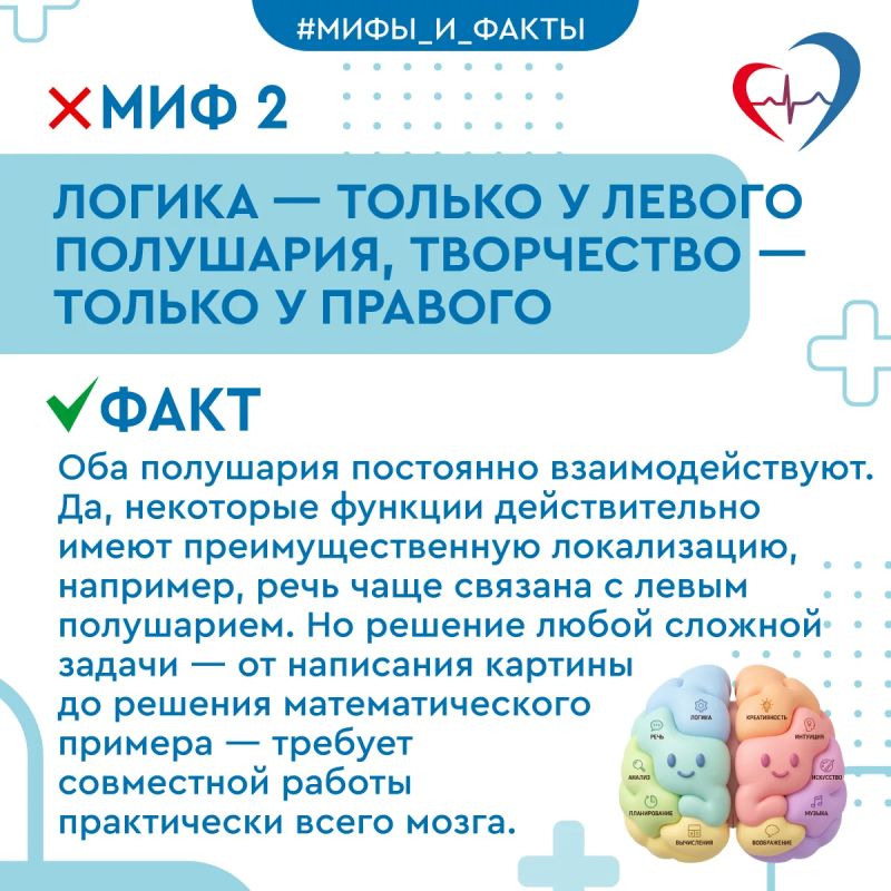 Врач рассказал, как сохранить здоровье мозга и развеял мифы о нем Врач рассказал, как сохранить здоровье мозга и развеял мифы о нем
