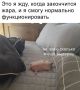 ������ ����, ������!. ������ ���� �� �������! ������� ��������� ���������� ����������, ��������������� ��� �������