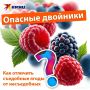 Как отличить съедобные ягоды от смертельно опасных