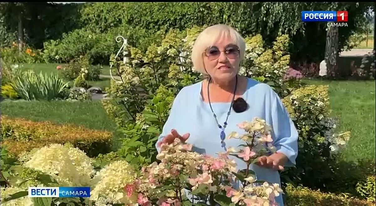 Садовый эксперт Вера Глухова рассказала, как подобрать гортензии для того или иного участка