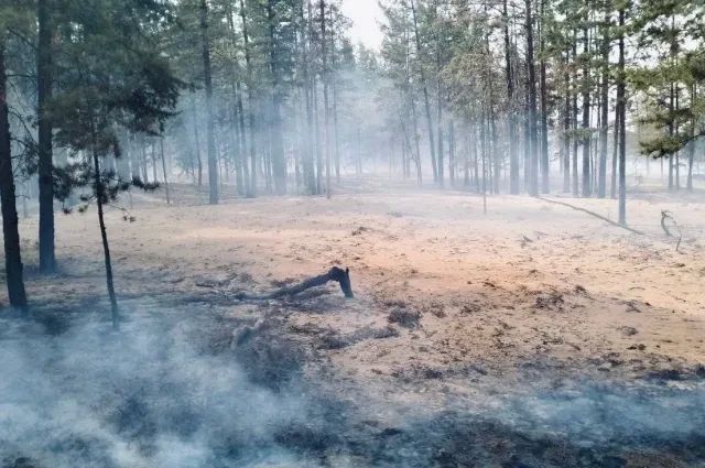 В Самарской области в последней декаде июля 2026 года из-за жары горят поля