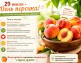 29 ���� - ���� �������. � ������ ��� �������� ����� �������� ������ ������� � ����� �������� � ������ �������! #����������
