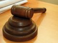 Суд арестовал на два месяца замначальника управления беспилотных систем и робототехники Минпромторга России Аллу Половченю