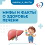 Врач-гастроэнтеролог развеяла 6 мифов о здоровье печени