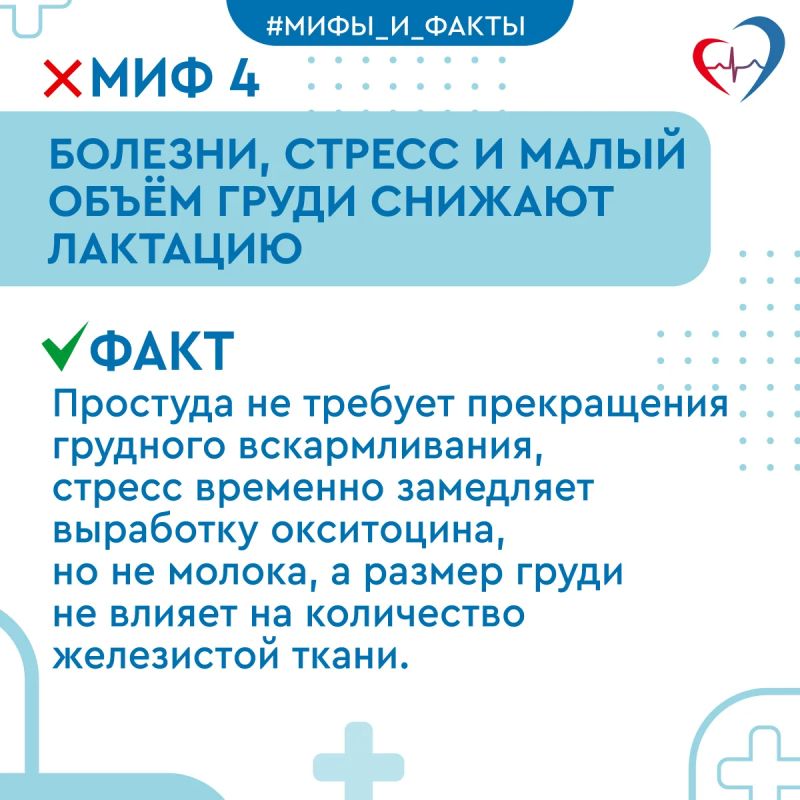 Врач-неонатолог развеяла 10 мифов о грудном вскармливании Врач-неонатолог развеяла 10 мифов о грудном вскармливании