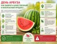День арбуза. Как выбрать качественный и безопасный продукт? Об этом читайте в нашей карточке и будьте здоровы! #Санпросвет