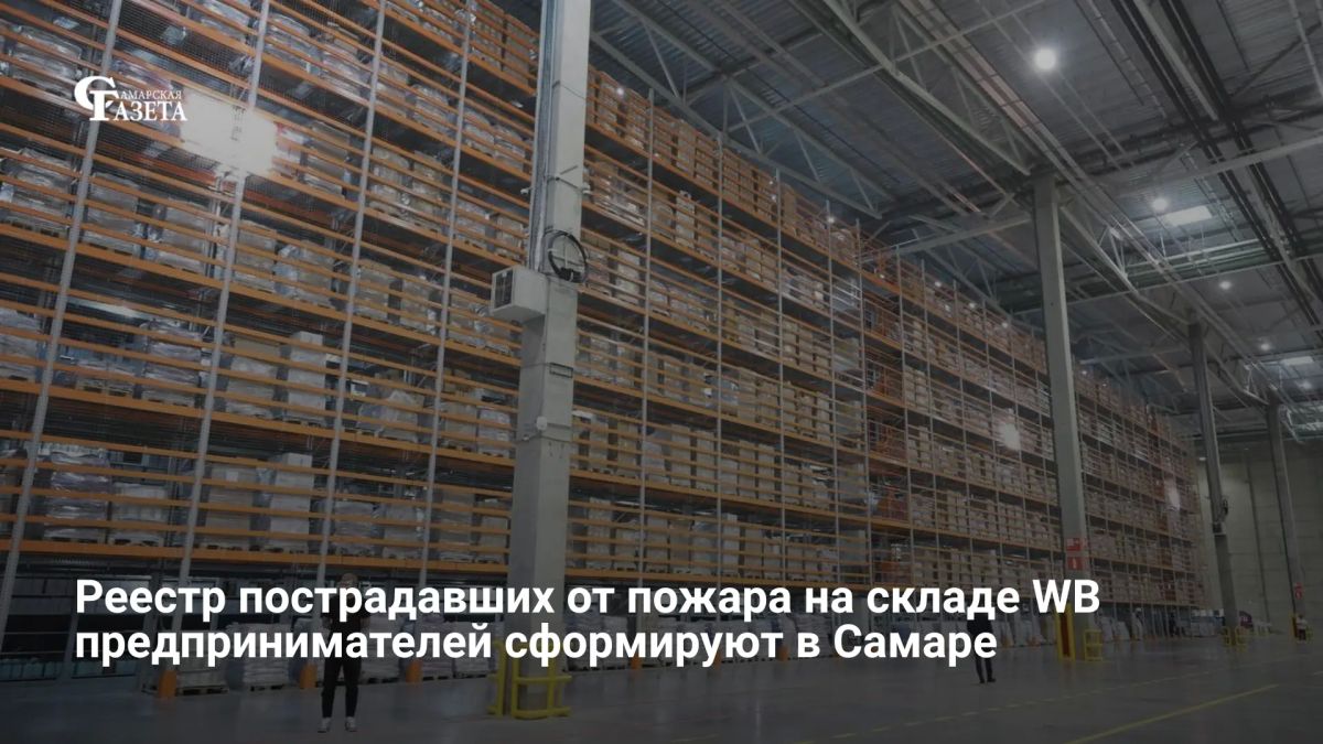 Губернатор Самарской области Вячеслав Федорищев поручил правительству до 10 августа сформировать реестр пострадавших от пожара на складе Wildberries предпринимателей для оказания им адресной помощи