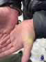 В Сызрани перед судом предстанет местный житель, задержанный полицейскими за незаконный оборот наркотиков и хранение огнестрельного оружия