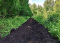 В лесном фонде Самарской области обновляют 26 тысяч километров минерализованных полос