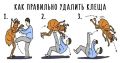 Вторая волна: клещи могут активизироваться в августе