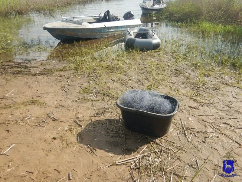 В Безенчукском районе полицейские пресекли незаконную добычу водных биоресурсов В Безенчукском районе полицейские пресекли незаконную добычу водных биоресурсов
