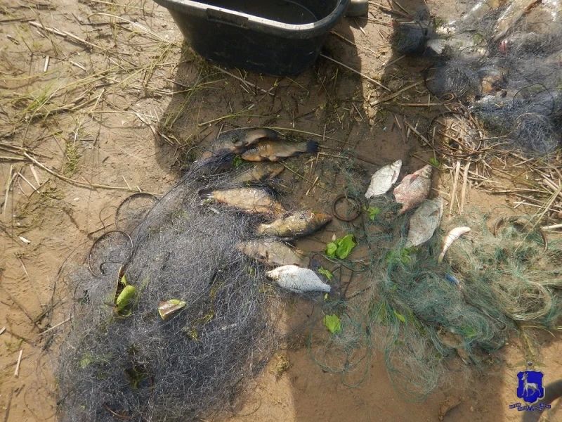 В Безенчукском районе полицейские пресекли незаконную добычу водных биоресурсов В Безенчукском районе полицейские пресекли незаконную добычу водных биоресурсов